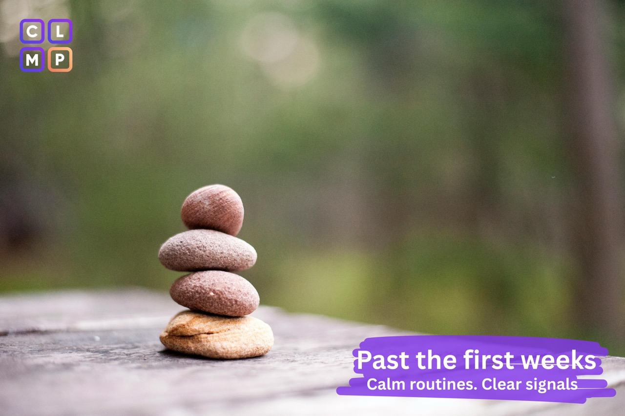 Past the first weeks: From start anxiety to steady momentum